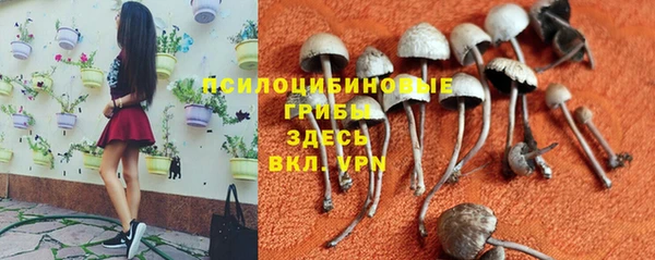 соль курить ск Бородино