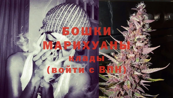 ГАЛЛЮЦИНОГЕННЫЕ ГРИБЫ Иннополис