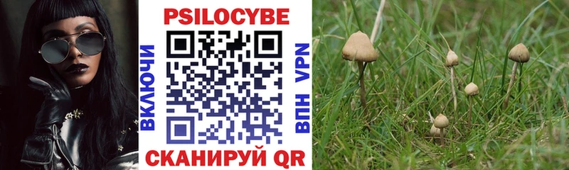 Псилоцибиновые грибы Cubensis  Торопец 